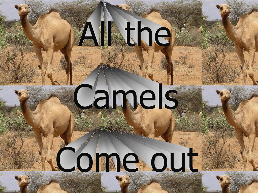 camelscomeout