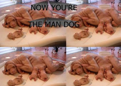 Now You're The Man-Dog