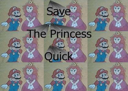 Save The Princess Quick [Mario]