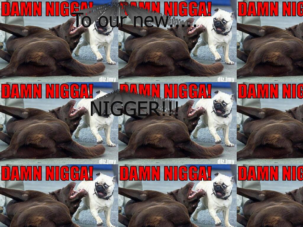 niggerzzzzz