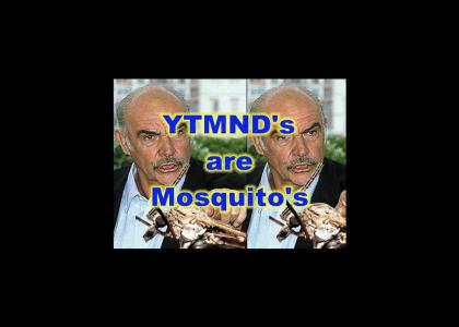 YTMND'S are MOSQUITOES