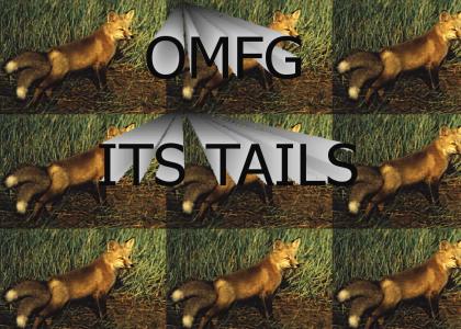 OMFG its tails !