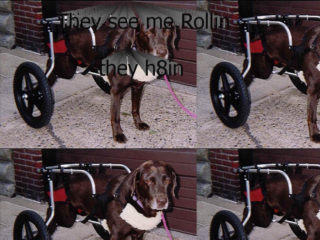 ridinDdog