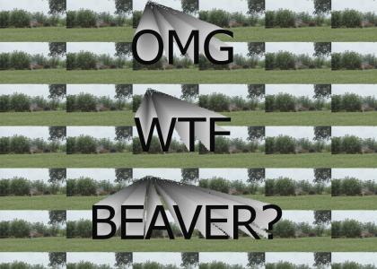 Exploding Beaver