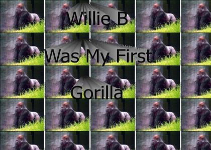 Wille B was my first Gorilla