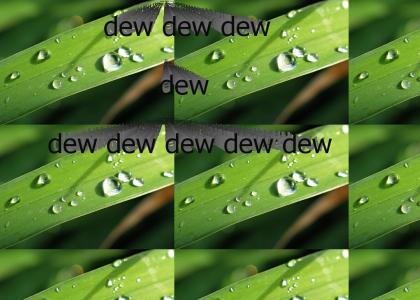 DEW