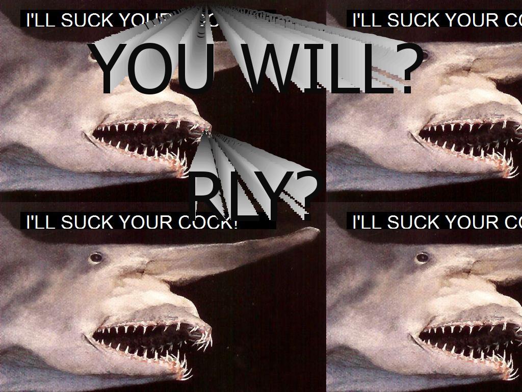 cock-shark