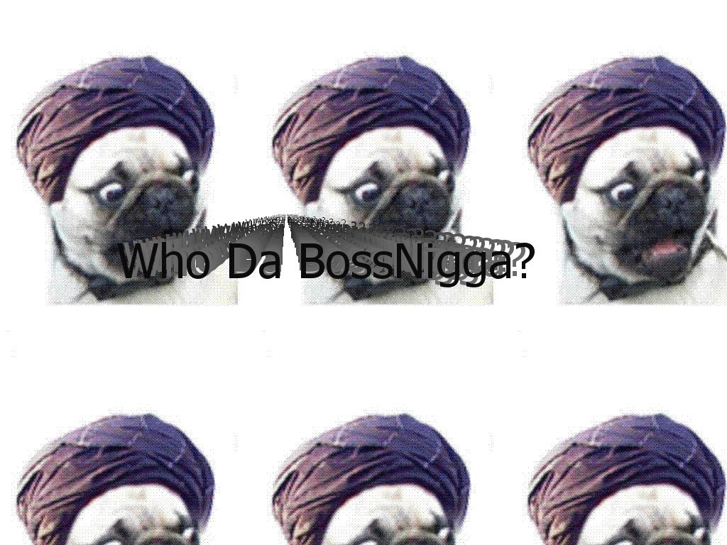 bossdog