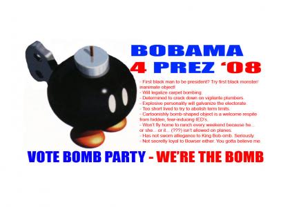 VOTE BOBAMA 2008