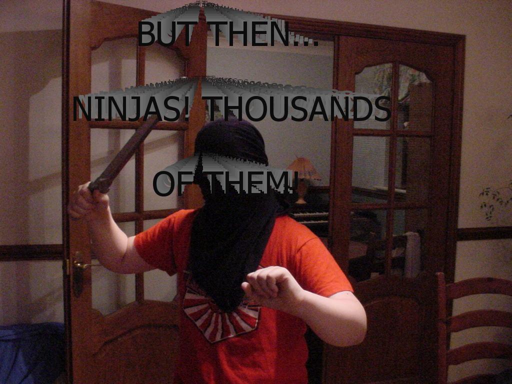 ninjas