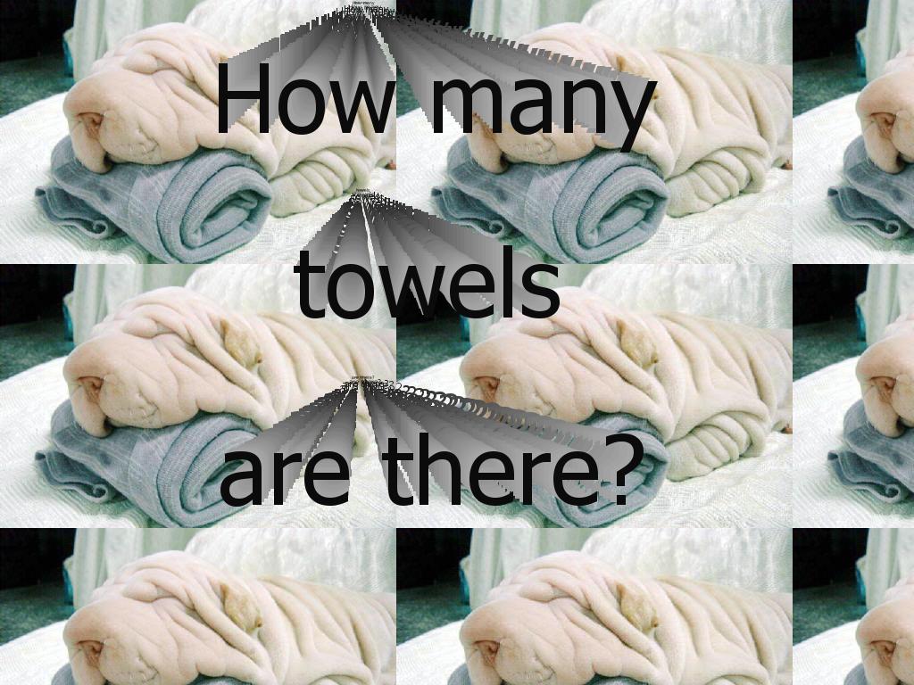 howmanytowels