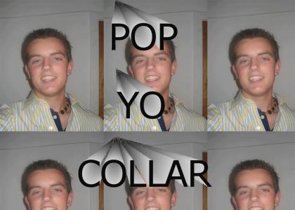 poppin collars