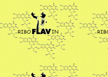 RiboFLAVA FLAVin