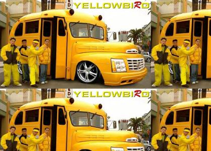 Yellowbird Funk Bus
