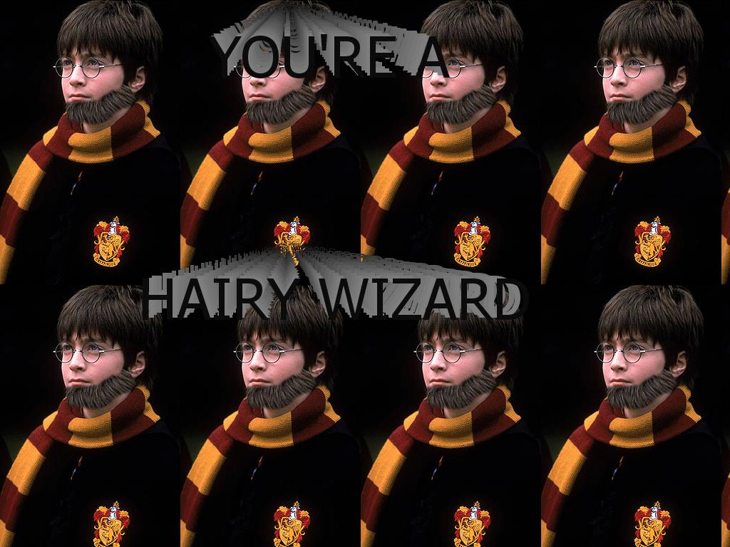 hairywizard