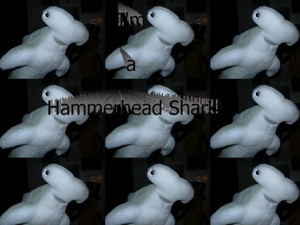 hammerheadshark