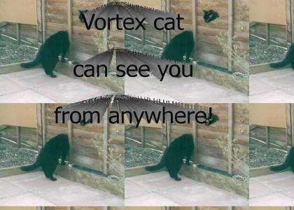 vortex cat can see you from anywhere
