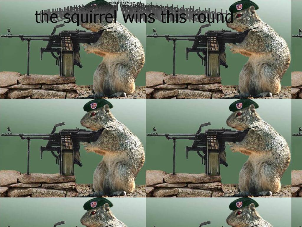 armysquirrel