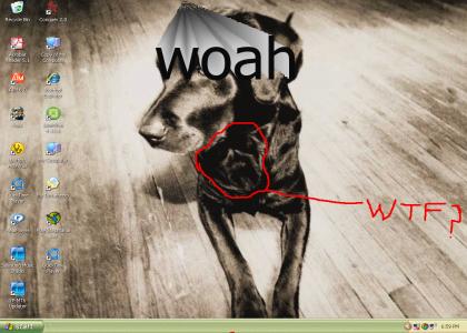 hidden picture in dog desktop!