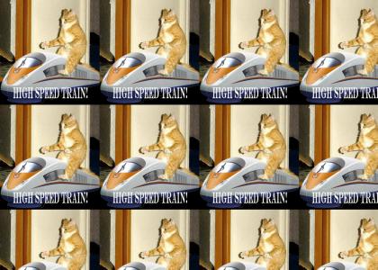 Leet Kitten's High Speed Train