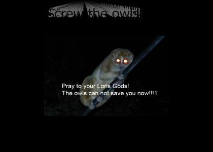 Screw the owls!