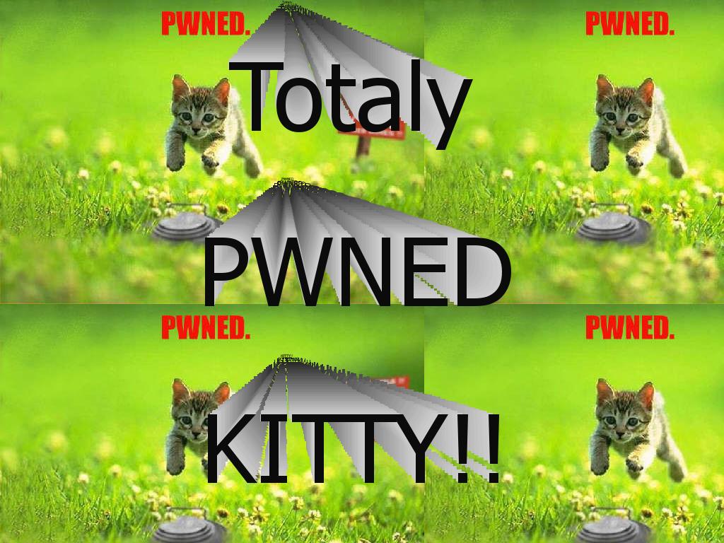 pwnedkitty