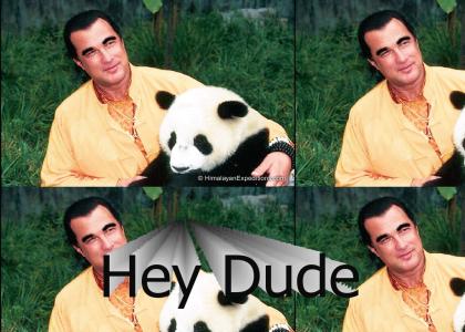 Steven Segal loves pandas...a little too much.