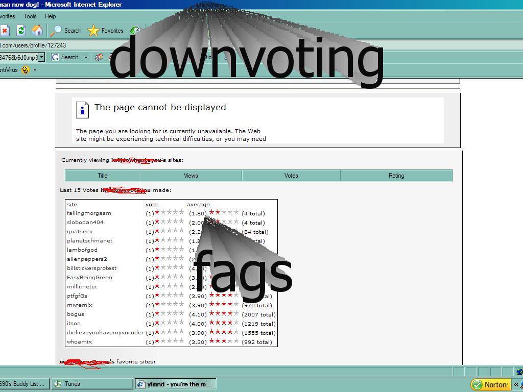 downvotingfag
