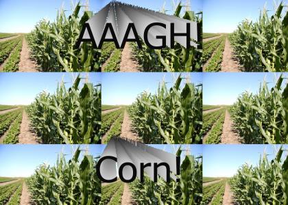 AAAGH! Corn!