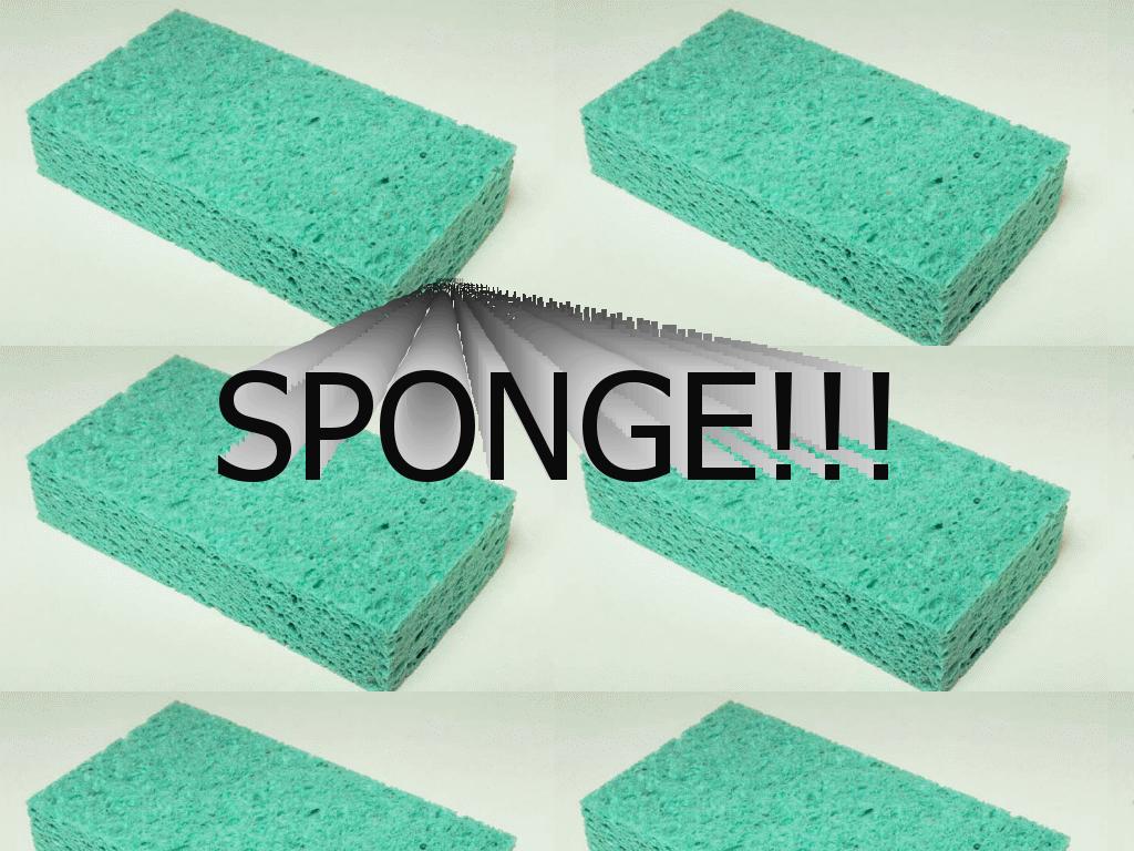 spongewtf