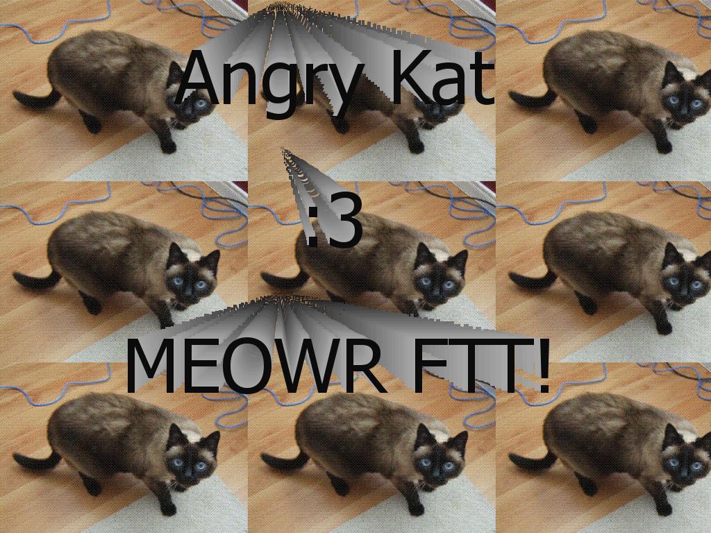 angrykat