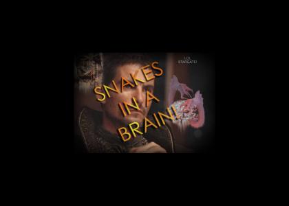Snakes In A Brain!