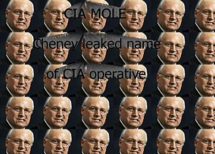 Cheney is CIA mole