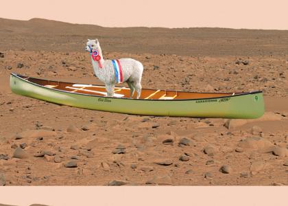 Alpaca in a canoe on Mars