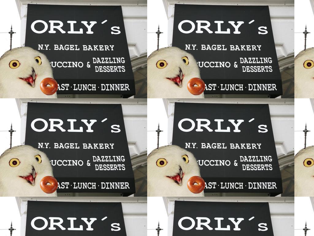 orlybagels