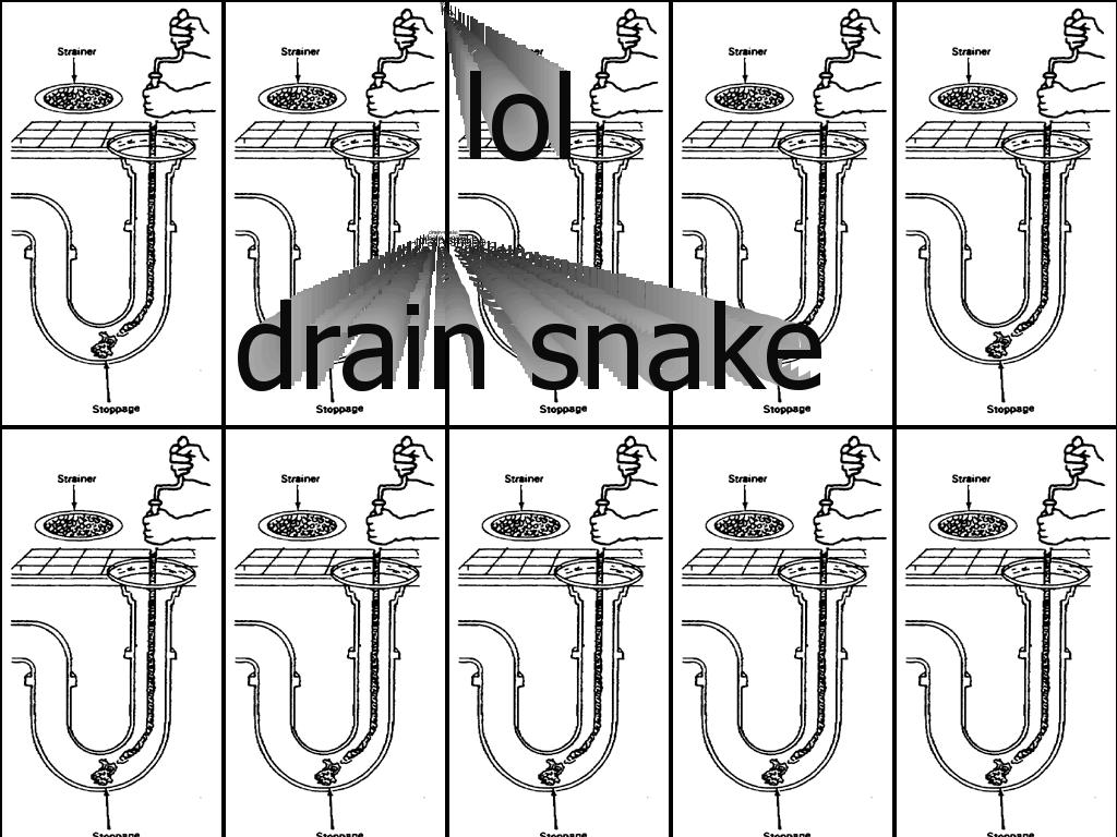 snakeindrain