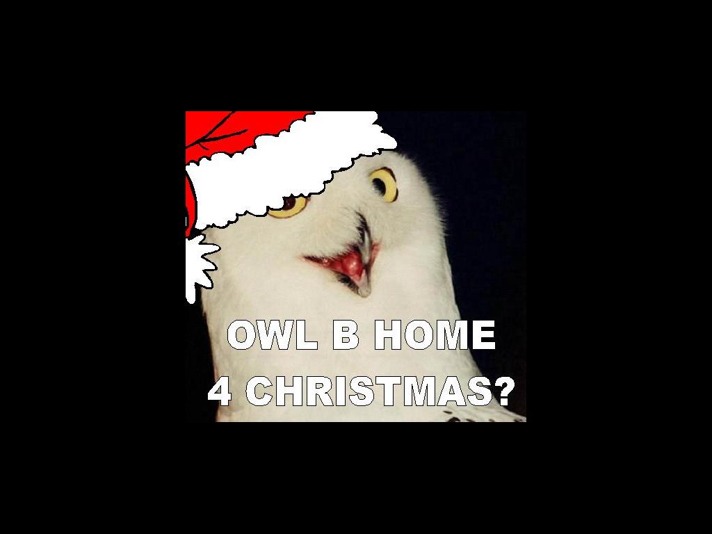 OWLBHOME4XMAS