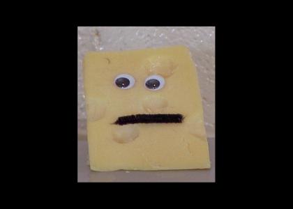 cheese stares into your soul