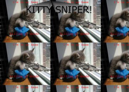 Sniper Kitty!