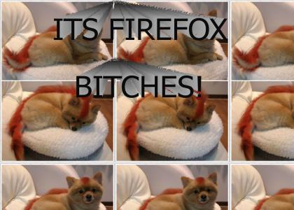 ITS FIRE FOX BITCHES