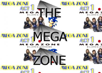 Rejected Sonic Zone #1025