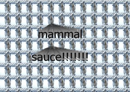 mammal sauce