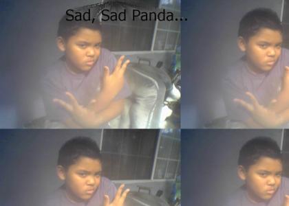 Sad, Sad Panda
