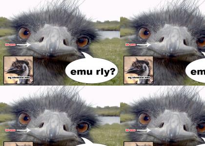 emu rly?