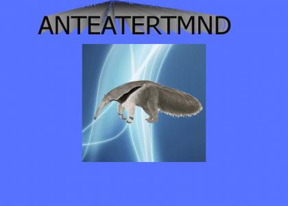 Anteater Freeform Exploration