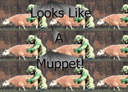 muppethump