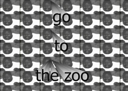 Take him to the zoo