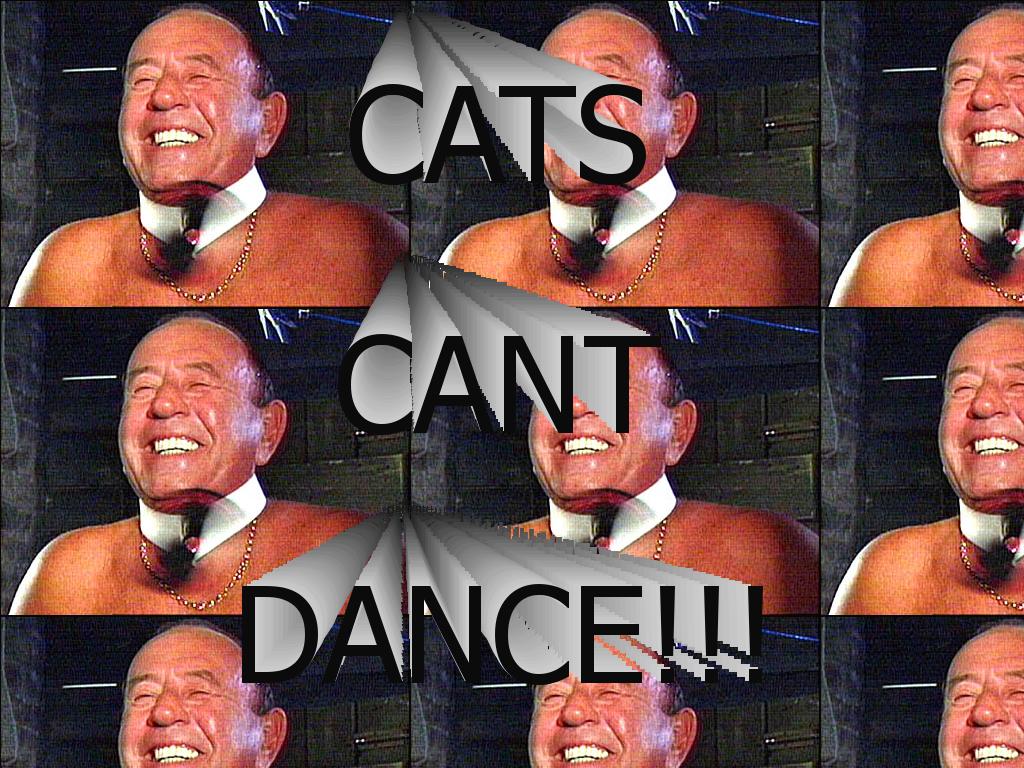 catscantdance