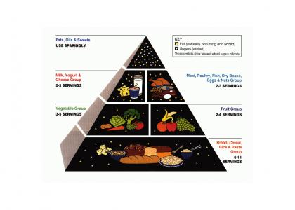 Food Pyramid