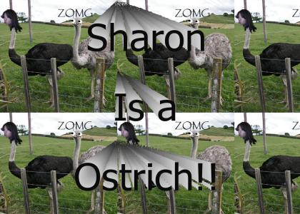 Sharon is an ostrich